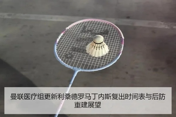 曼联医疗组更新利桑德罗马丁内斯复出时间表与后防重建展望