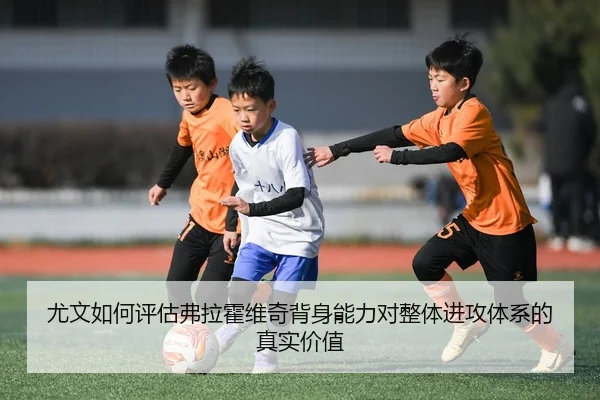 尤文如何评估弗拉霍维奇背身能力对整体进攻体系的真实价值