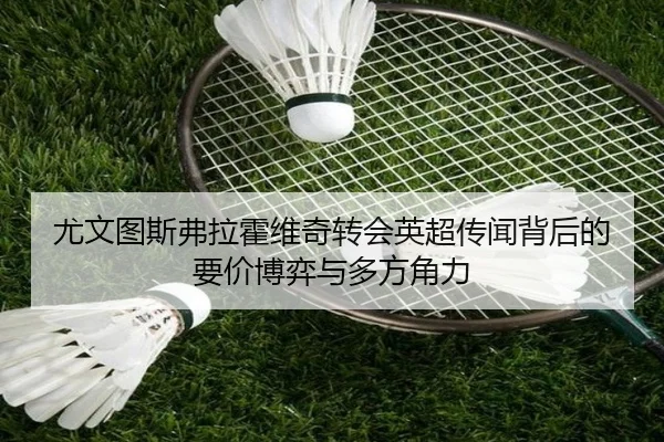 尤文图斯弗拉霍维奇转会英超传闻背后的要价博弈与多方角力