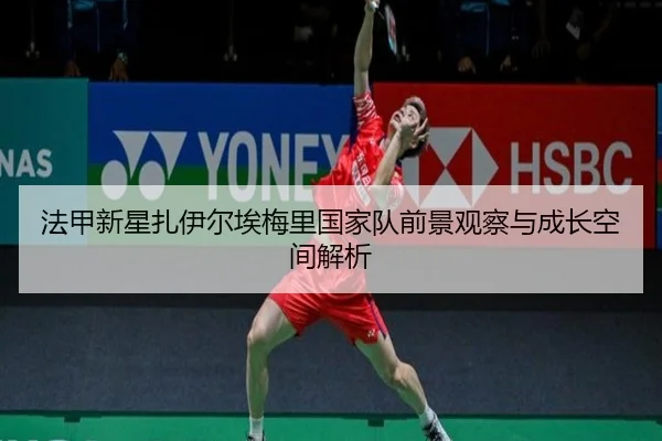 法甲新星扎伊尔埃梅里国家队前景观察与成长空间解析