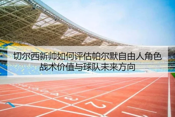 切尔西新帅如何评估帕尔默自由人角色战术价值与球队未来方向