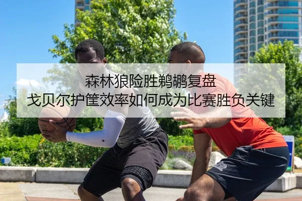 森林狼险胜鹈鹕复盘 戈贝尔护筐效率如何成为比赛胜负关键